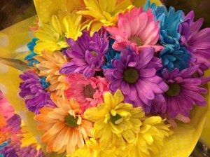 colorful flowers