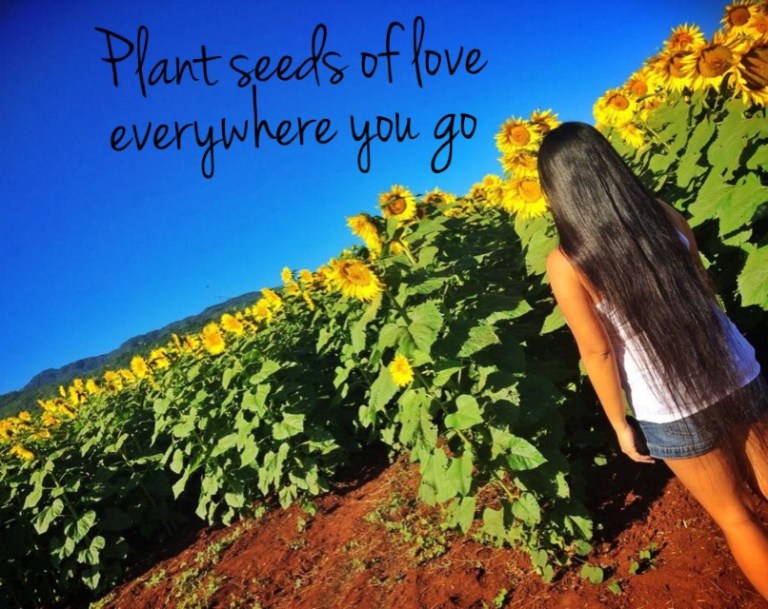 Plant_Seeds_of_Love_Sunflowers